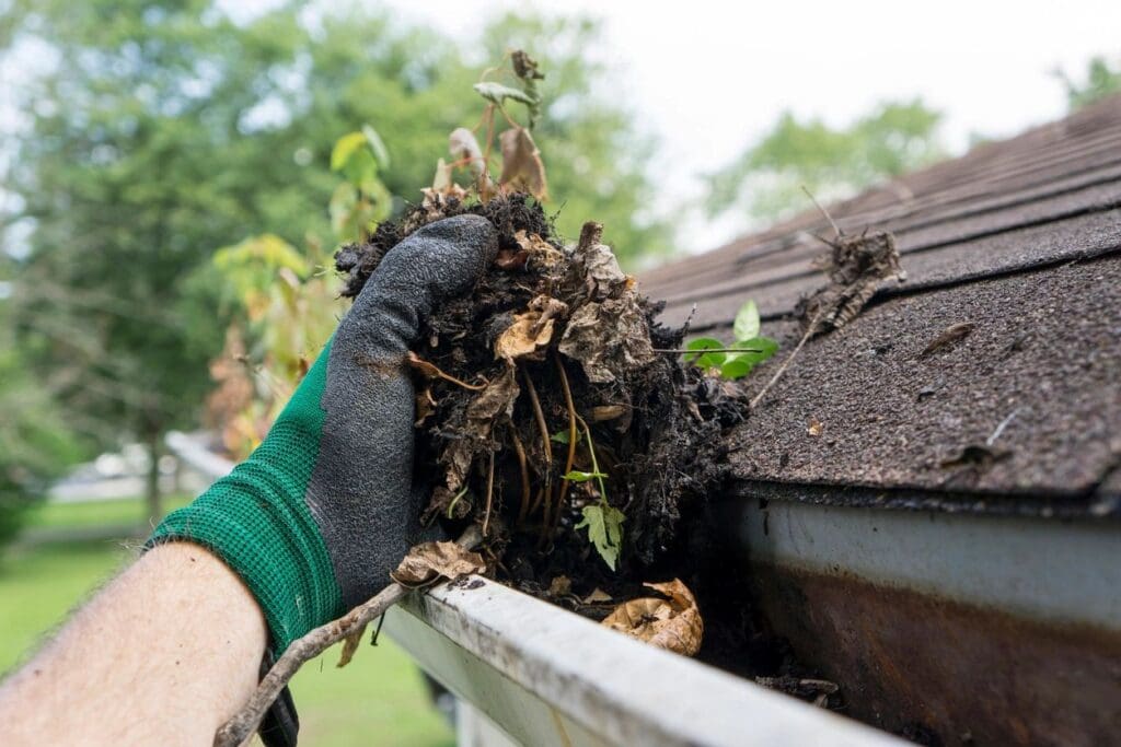 Gutter Cleaning Services by ARP Wash DFW