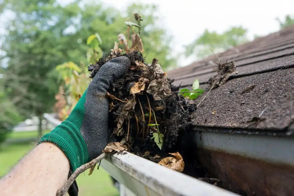 gutter cleaning by ARP Wash, Gutter Cleaning Services