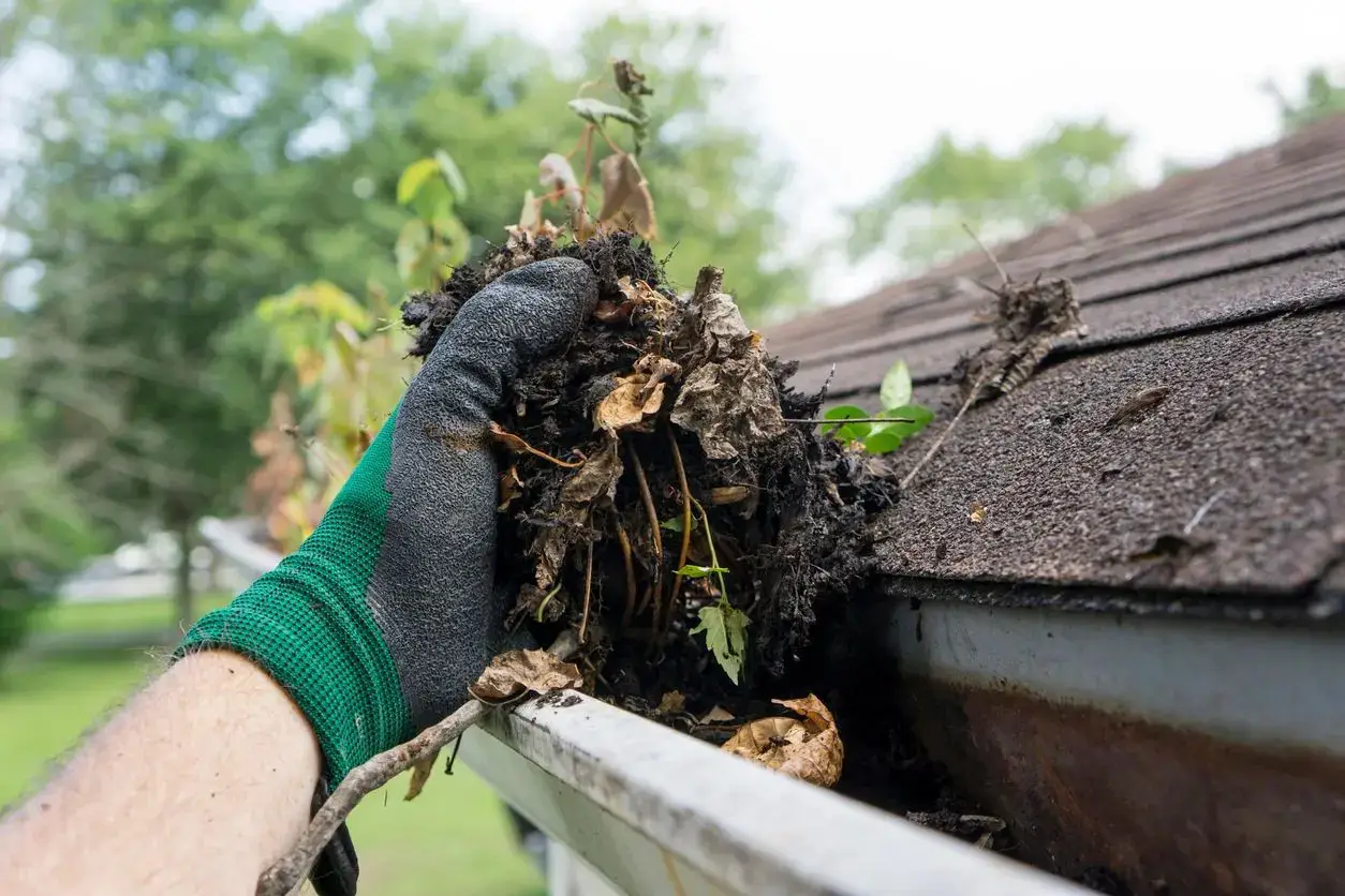 gutter cleaning by ARP Wash, Gutter Cleaning Services in Argyle