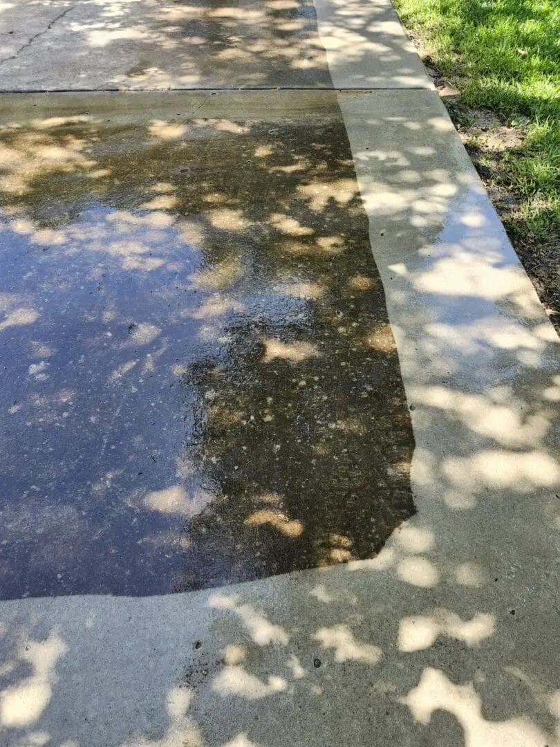 Organic Removal by Power Washing Concrete