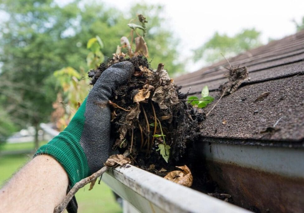 Gutter Cleaning Services by ARP Wash DFW